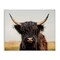 Stupell Industries Black Highland Cow Portrait Canvas Wall Art